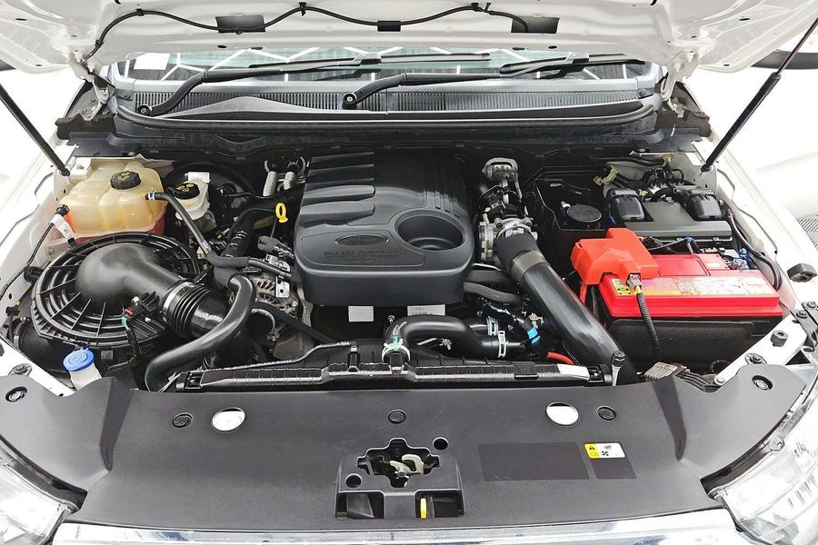 2019 Ford Ranger XLT PX MkIII Auto 4x4 MY19.75 Super Cab Photo 14