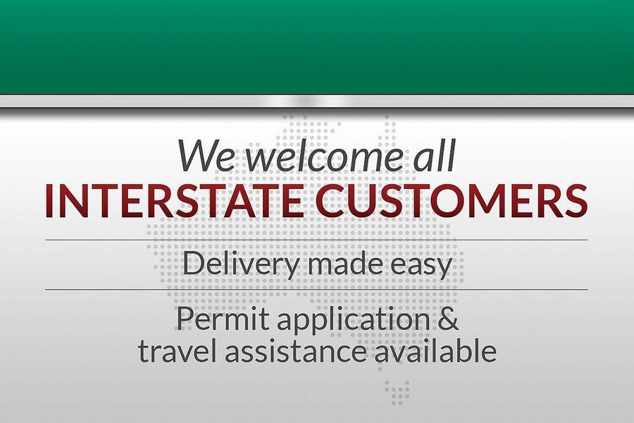 2019 Ford Ranger XLT PX MkIII Auto 4x4 MY20.25 Double Cab Photo 24